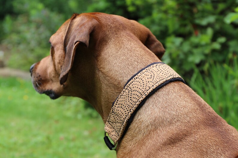 Halsband KORK mit Zugstopp, Hundehalsband mit tollen Mustern aus Korkleder, Hund, Martingale Bild 8