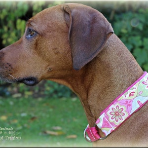 Dog collar, Martingale, romantic, light rose image 8