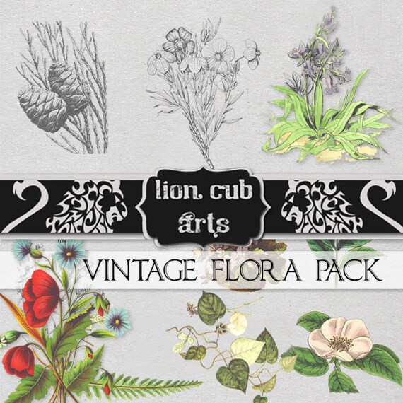 Home Flora - Vintage Print Parchment Paper / Set