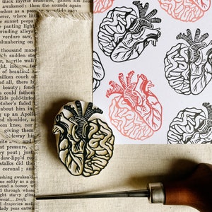 Sello de goma con forma de corazón anatómico, sello anatómico de cerebro humano para médico, decoración de regalo para cardiólogos, tarjetas de San Valentín científicas, estudiante de medicina