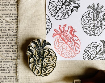 Anatomy heart rubber stamp, anatomical human brain stamp for doctor, cardiologist gift decor, science Valentines cardmaking, medical student