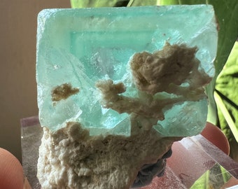 Agua Teal Green Cube Fluorite with Purple Phantom Cube | Aqua Cube Fluorite on Matrix | Yindu Fluorite Specimen