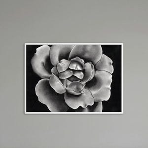 Rose 1 | flower print | garden wall decor | charcoal printable wall art | bar cart art | digital download | room decor