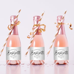 Mini étiquettes de bouteille de champagne rose | Étiquettes personnalisées de bouteille pétillante Bachelorette, fête de Bach favorise les mini étiquettes de bouteille de fête de mariée UNIQUEMENT