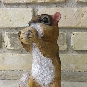 Chipmunk Standing With Nut Figurine Garden Statue Resin Yard Ornament Lawn Decor Garden Decoration 8.5 in. H. Countryside Animal Chipmunk