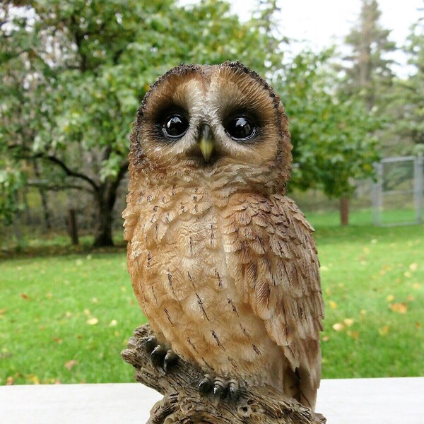 Tawny Owl Figurine on Tree Stump Home Garden Decoration Resin 6.25 inches H. Owl Lovers Yard Ornament Home Decor Collectors Bird Enthusiasts