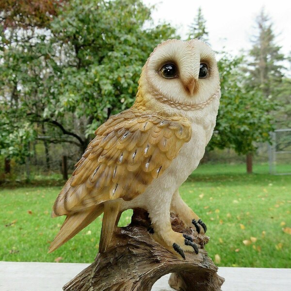 Barn Owl Figurine on Tree Stump Home Garden Decoration Resin 7.25 inches H. Owl Lovers Yard Ornament Home Decor Collectors Bird Enthusiasts