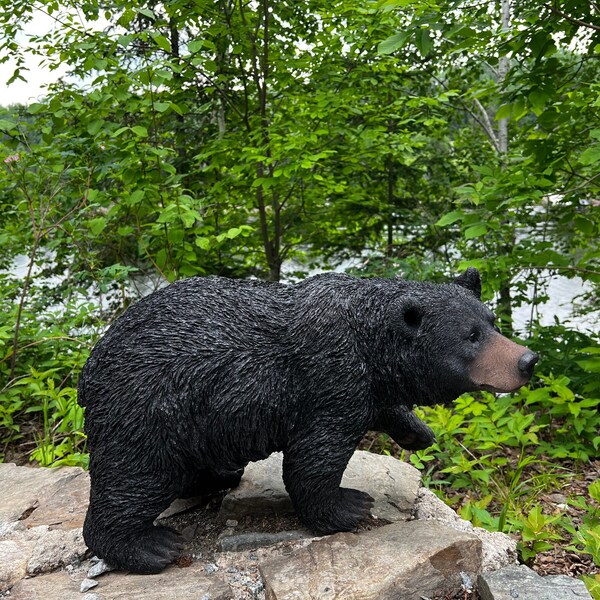 Black Bear Decor - Etsy