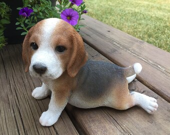 BEAGLE PUPPIES FOR SALE UKFOR SALE UK » AMERICAN MASTIFF PUPPIES FOR SALE