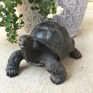 Tortoise Turtle Figurine, Small Tortoise, 6.5 in Lifelike Details, Resin Pond Decoration , Seaside Tortoise Reptile Hard Shell, Garden Decor