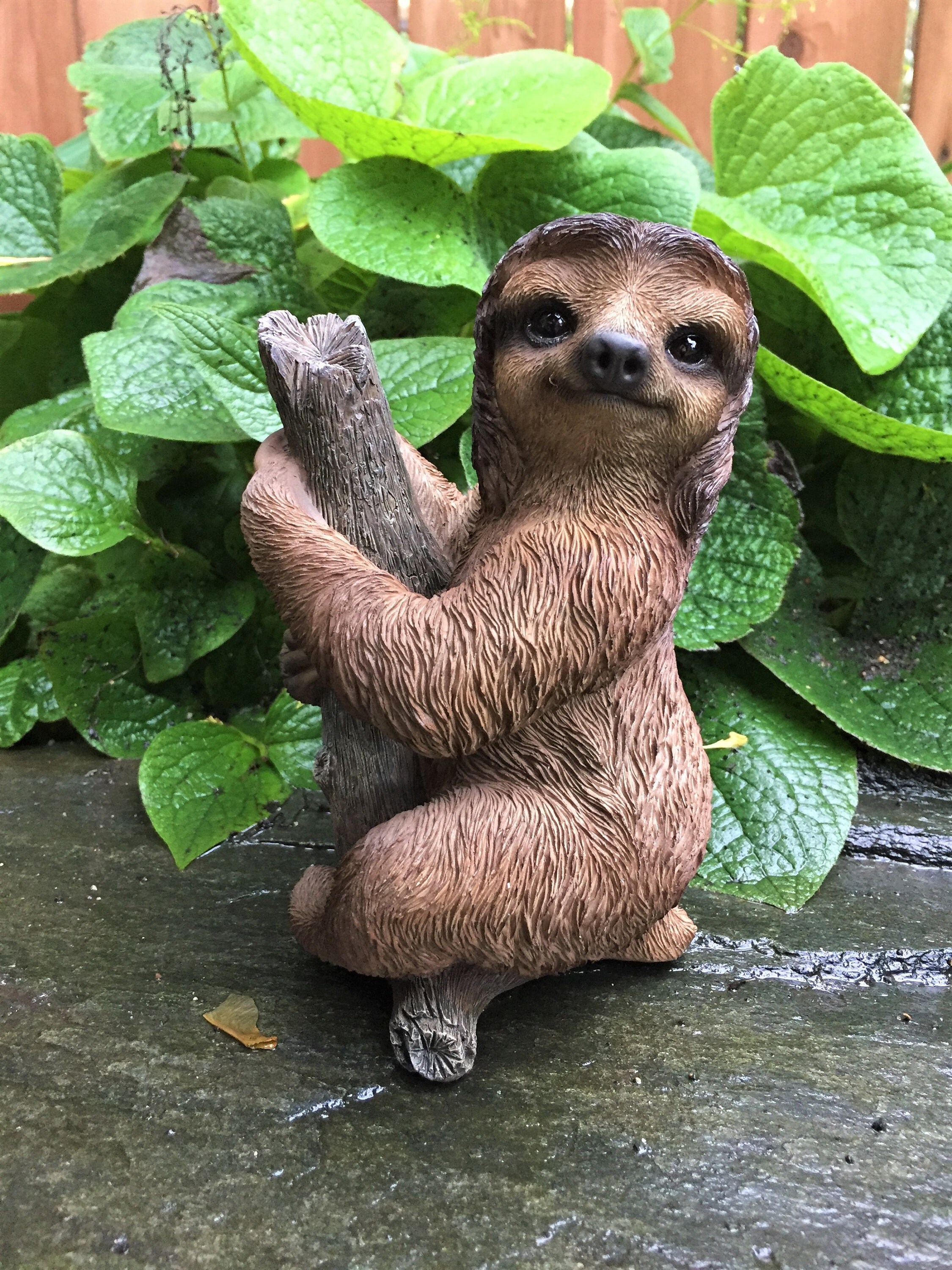 New Sloth Garden Statue Outdoor Garden Ornaments Sloth Climbing Resin Tree Hugger And Peeker Animal For Yard Lawn Home Decor Garden Statues Sculptures AliExpress | Guoxing Sloth Tree Face, Climbing Sloth Tree New Sloth Garden Statue Outdoor Garden Ornaments Sloth Climbing Resin Tree Hugger And Peeker Animal For Yard Lawn Home Decor Garden Statues Sculptures AliExpress | Guoxing Sloth Tree Face, Climbing Sloth Tree