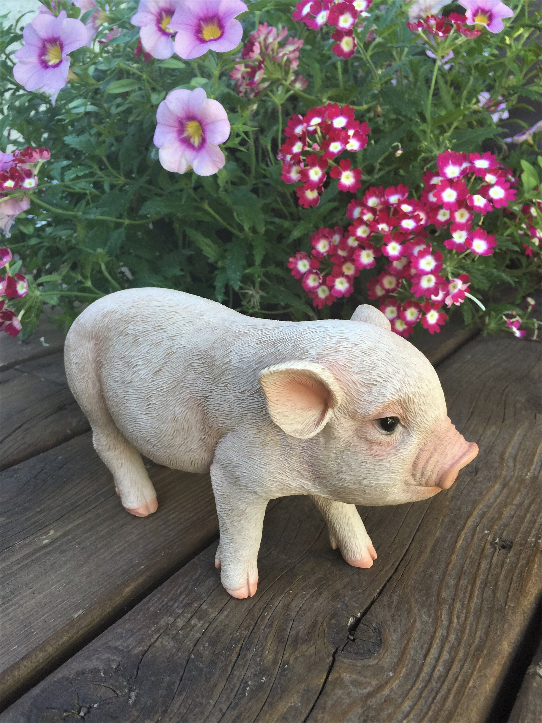 Little Pig Walking Piglet Resin Figurine Statue Ornament 9 Inches Wide Farm  Animal Yard Decoration Pigs Lawn Ornament 
