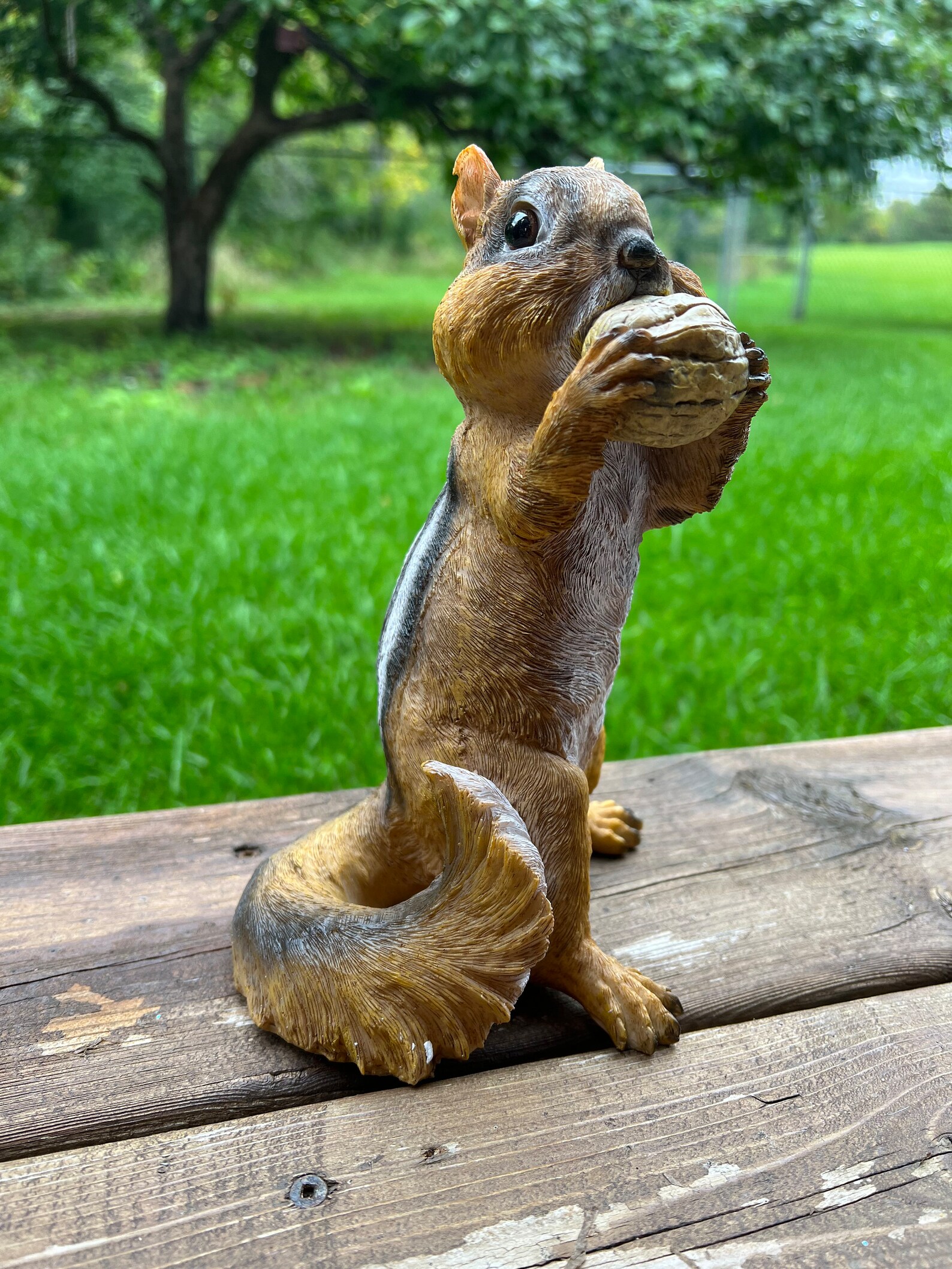 Chipmunk Standing With Nut Figurine Garden Statue Resin Yard - Etsy