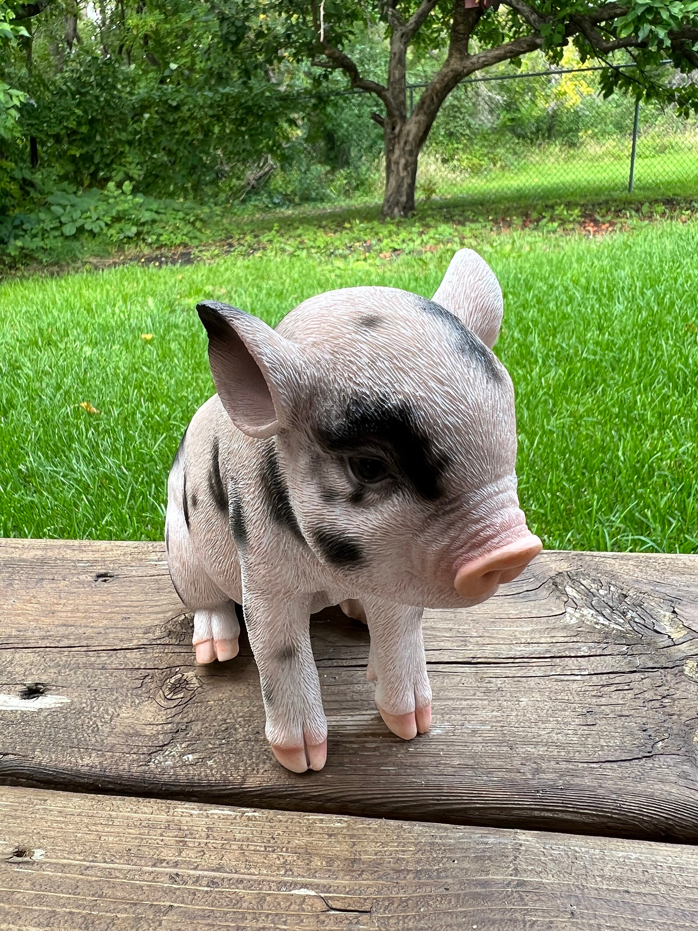 Spotted Baby Pig Sitting Piglet Yard Ornament Resin Figurine Statue  Farmyard Decoration Realistic 6x7inches Indoor or Outdoor Figurine - Etsy