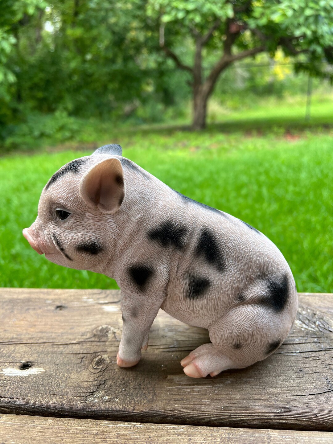 Spotted Baby Pig Sitting Piglet Yard Ornament Resin Figurine Statue  Farmyard Decoration Realistic 6x7inches Indoor or Outdoor Figurine - Etsy