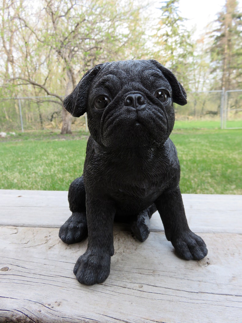 black pug items