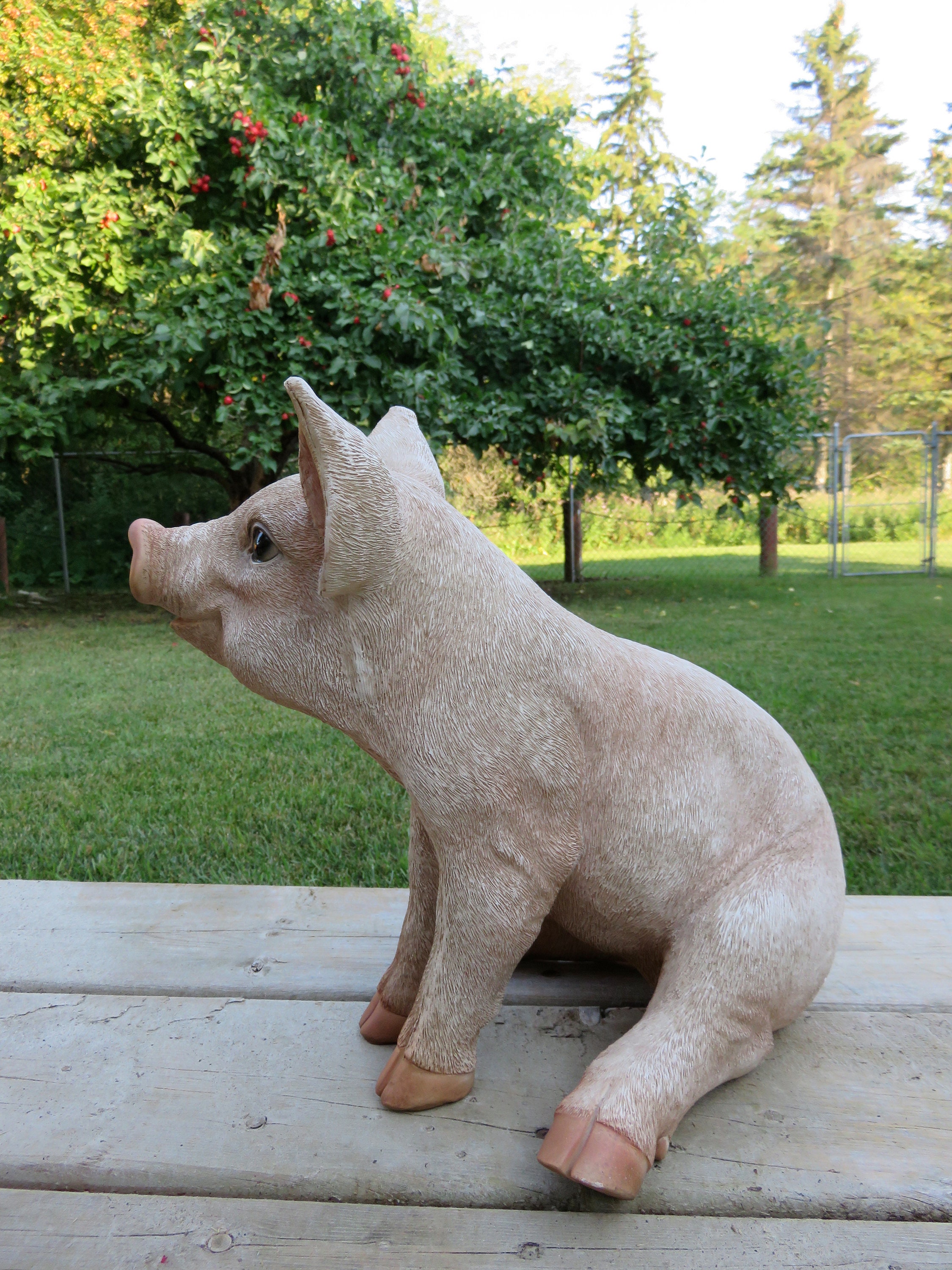 Spotted Baby Pig Sitting Piglet Yard Ornament Resin Figurine