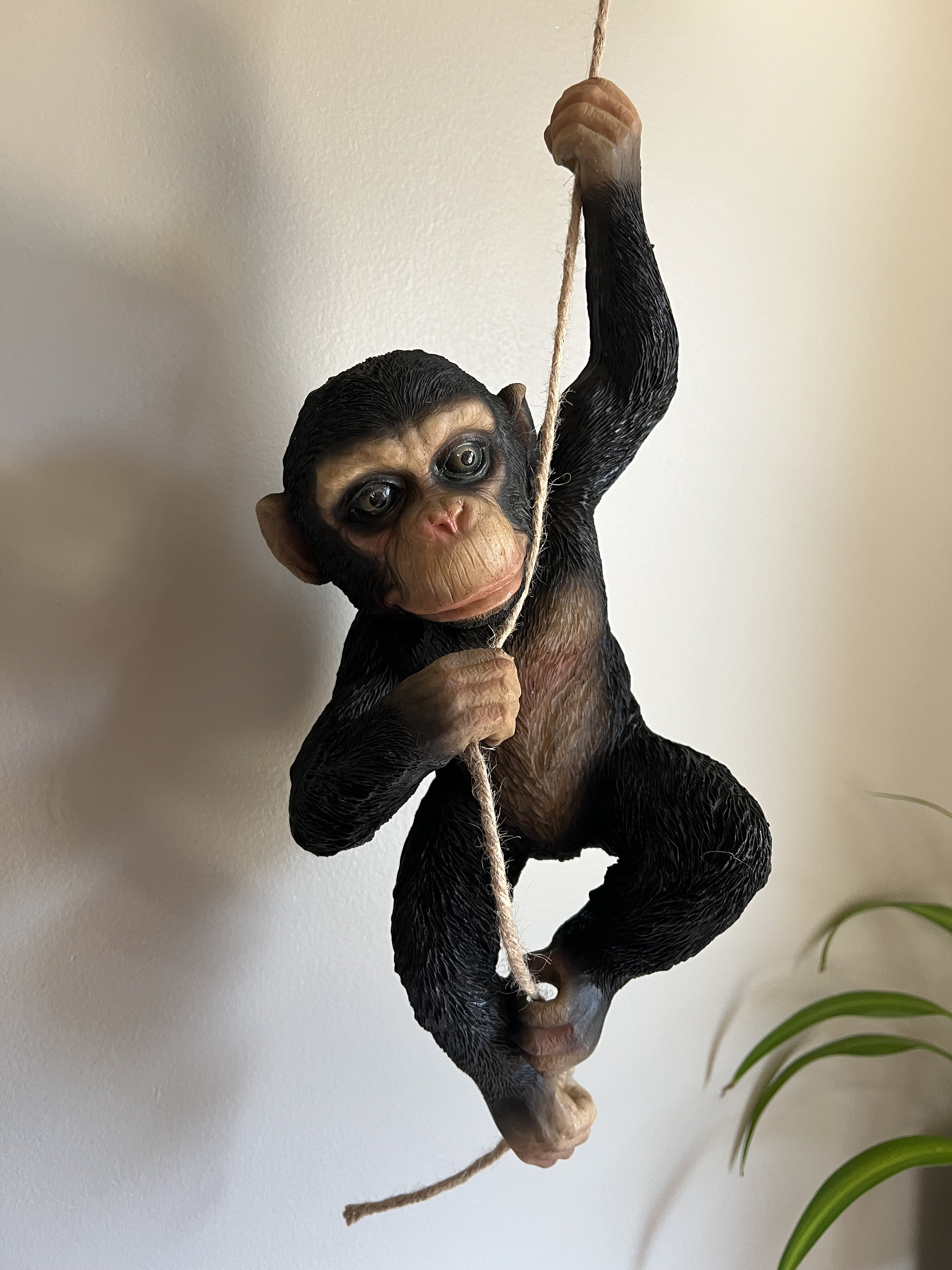 Monkey Vines Climbing Rope Swing