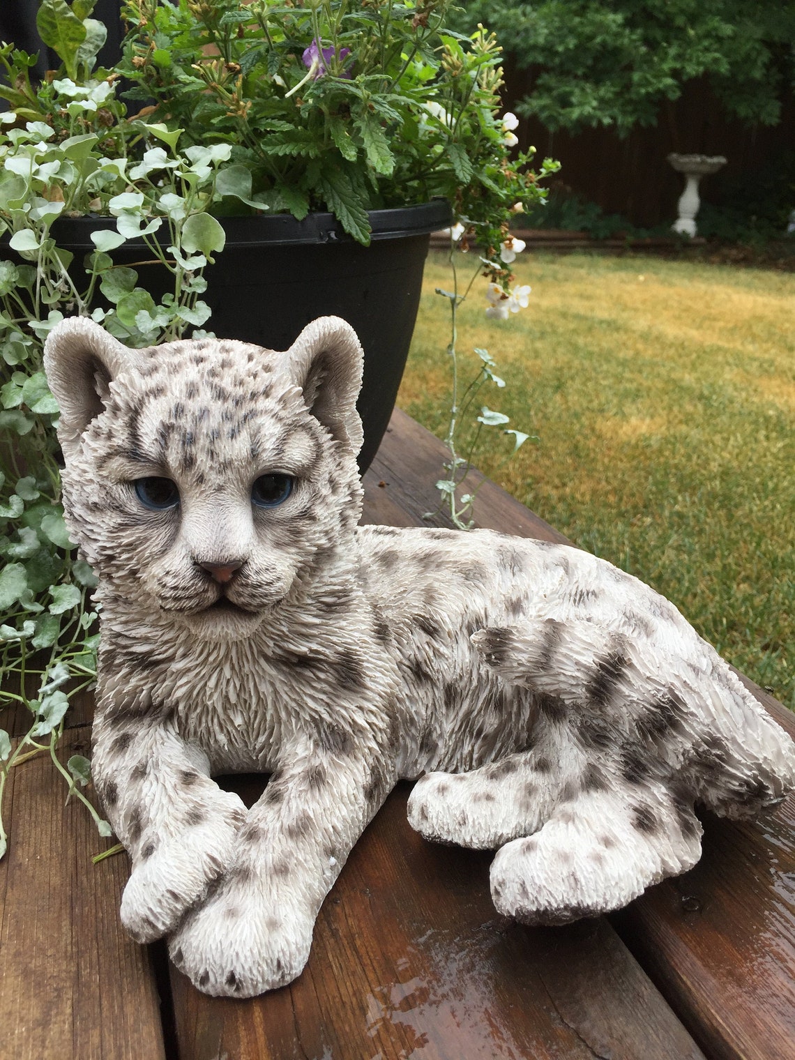 Snow Leopard Resting Indoor Outdoor Figurine Statue Resin | Etsy