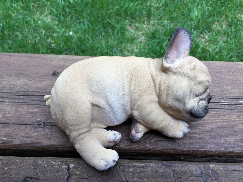 French Bulldog Puppy Sleeping Lying on Side 7 inches wide image 2