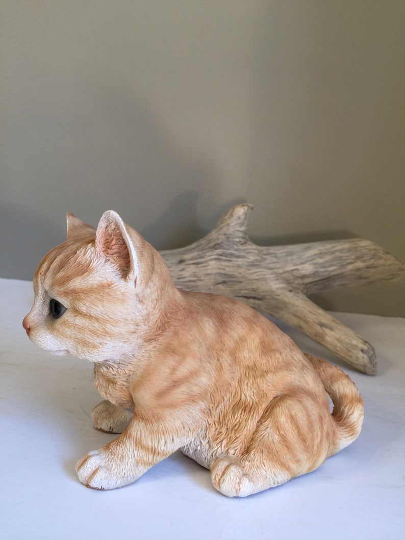 Orange Tabby Cat Marmalade Color Calico Kitten Sitting Etsy