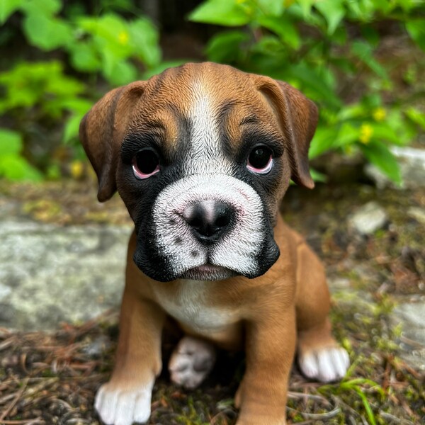 Boxer Puppy Dog Sitting, Statue Yard Figurine, Resin Indoor Outdoor Statue, Boxer Figurine, 6.5 in H Statue, Boxer Ornament, Indoor Outdoor