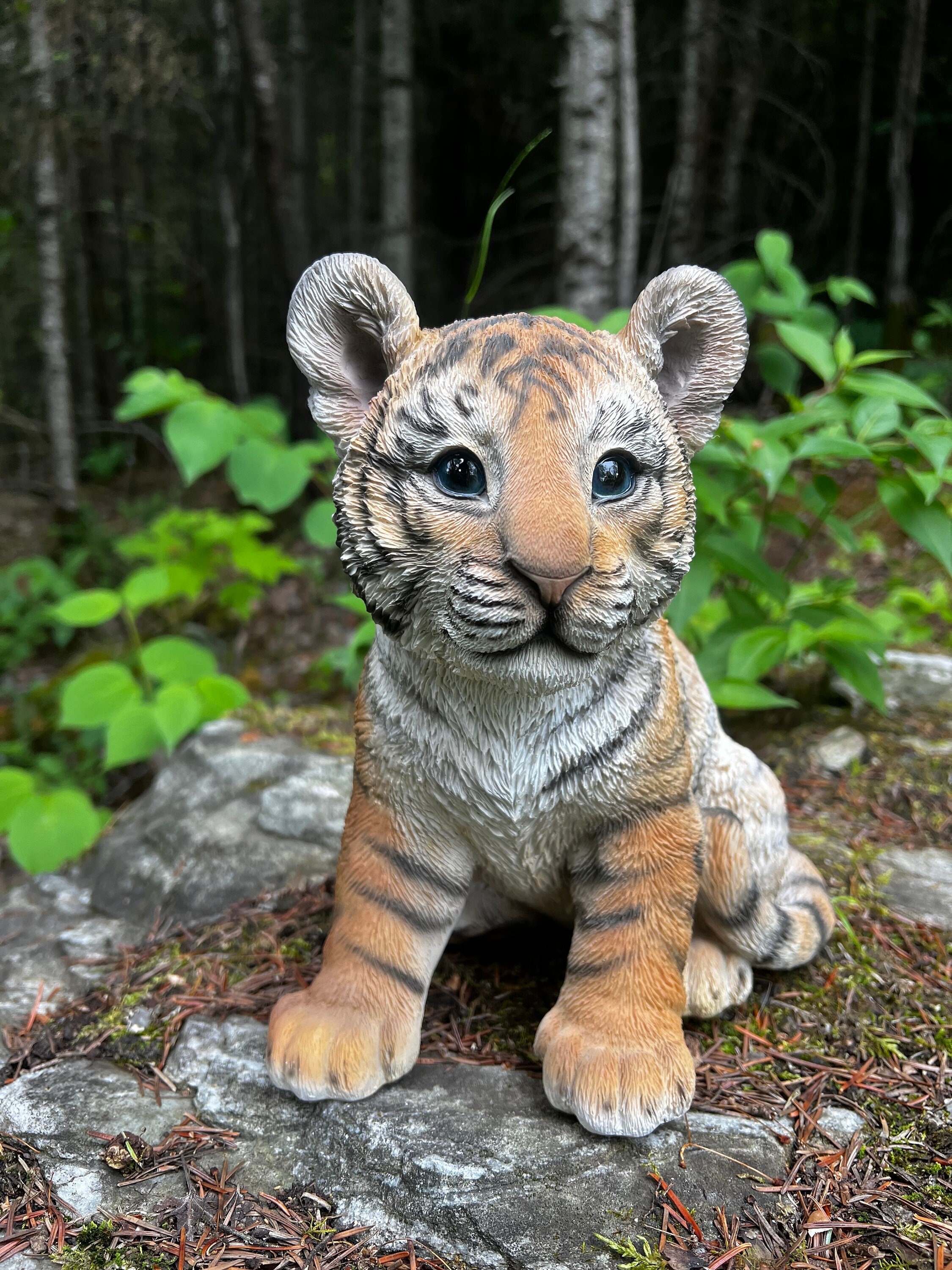 Tiger Cub Sitting