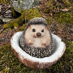 Hedgehog Resting Inside Coconut Shell Figurine  Statue, Spikey Fellow, 4.5 inches Hedgehog Ornament, Hedgehog Figurine / Realistic