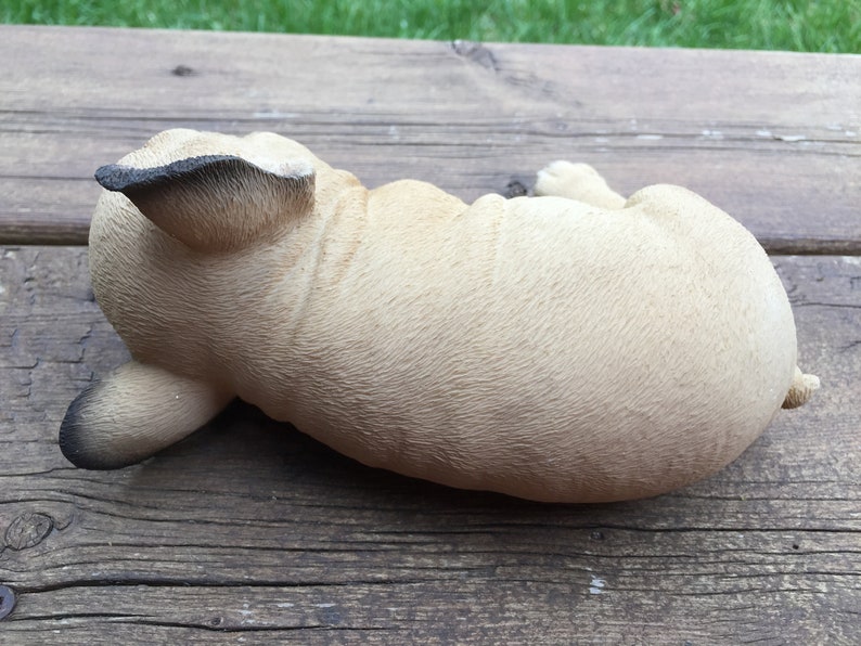French Bulldog Puppy Sleeping Lying on Side 7 inches wide image 5
