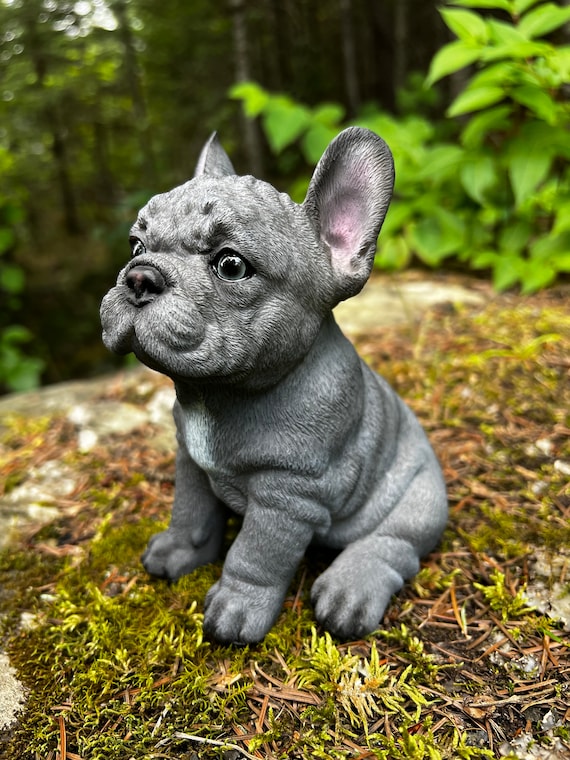 Estatua de cachorro de bulldog francés azul, gris