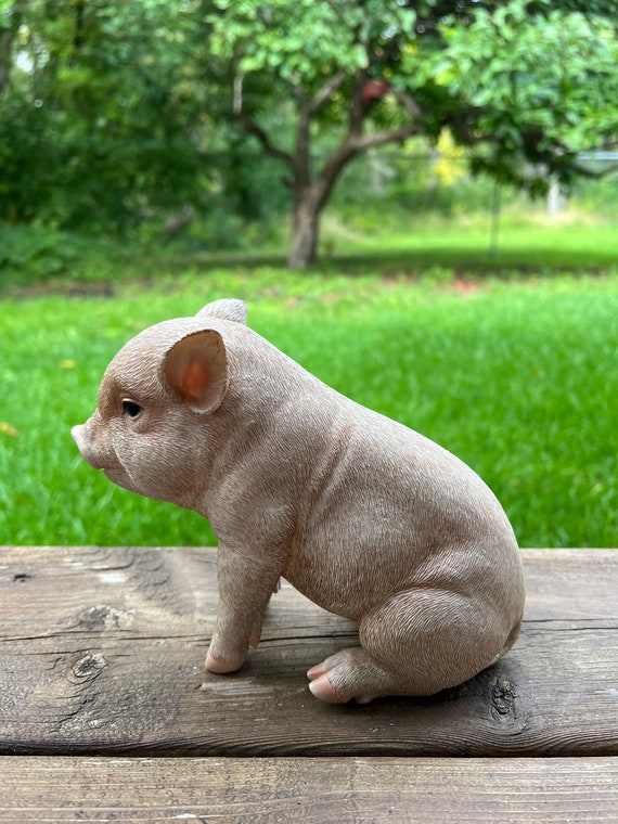 Buy Baby Pig Sitting Set of Three Little Pigs Yard Ornament Resin Statues  Farmyard Decoration Realistic Qualities Indoor or Outdoor Figurine Online  in India 