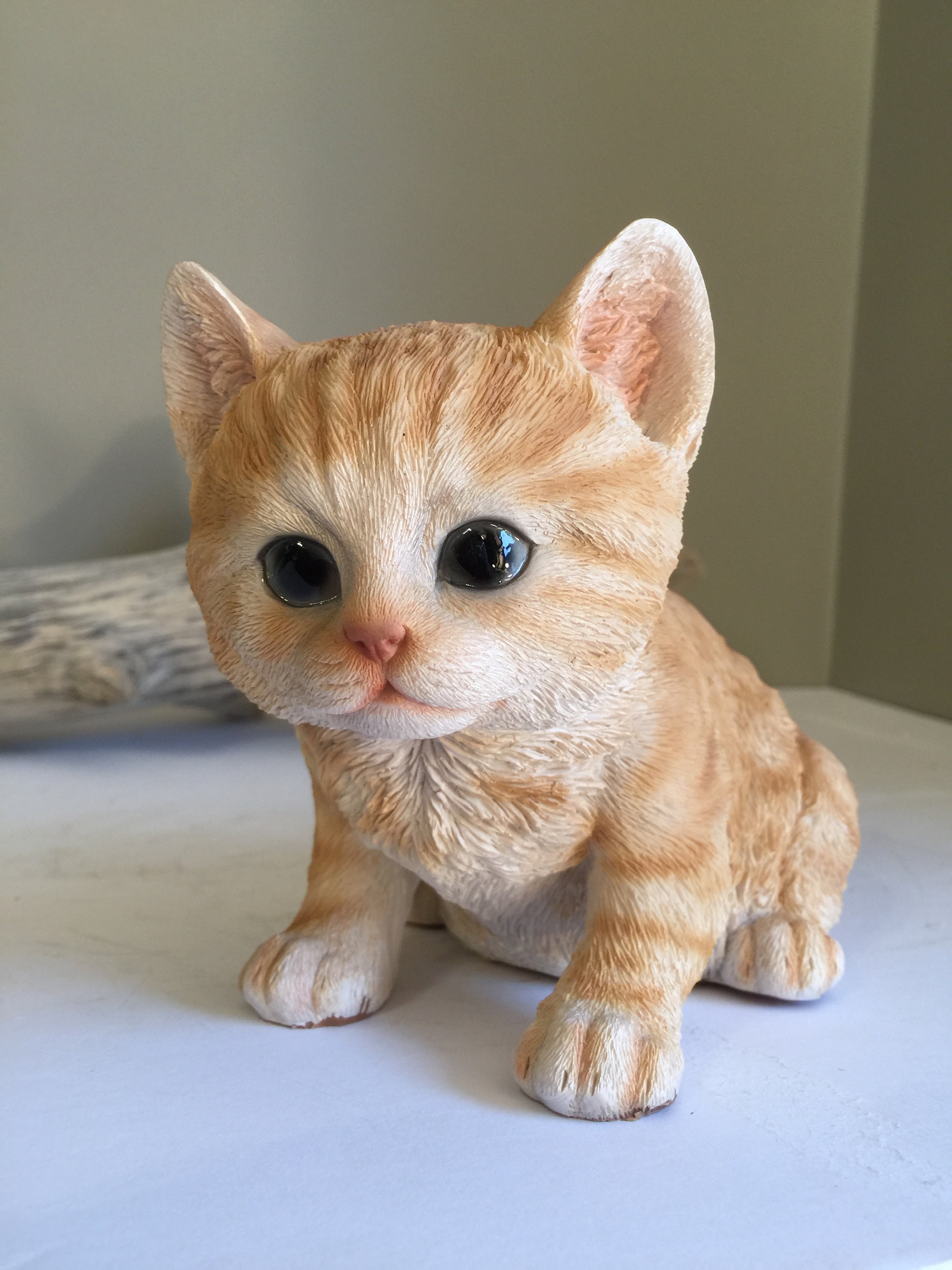 Orange Tabby Cat Marmalade Color Calico Kitten Sitting Etsy UK