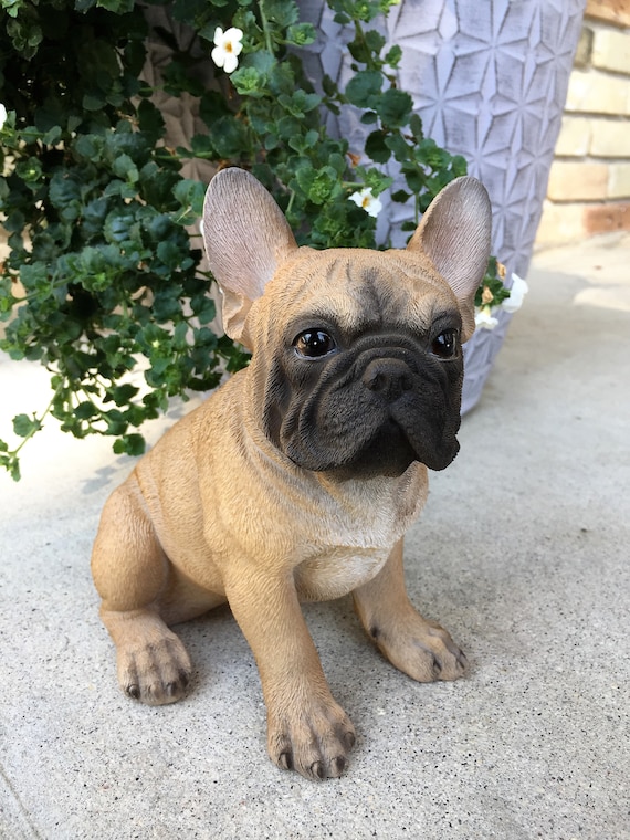 Best French Bulldog Toys - The Best Frenchie Gear  Bulldog puppies, Toy  bulldog, French bulldog puppies