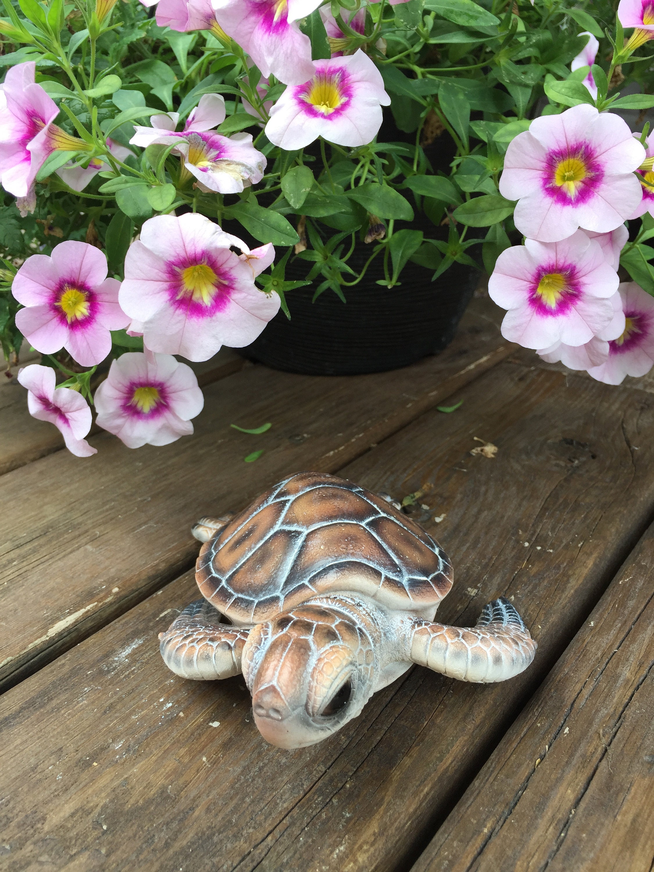 6PR4884 Décoration Tortue 34x21x14 cm Rose Polyrésine Tortue