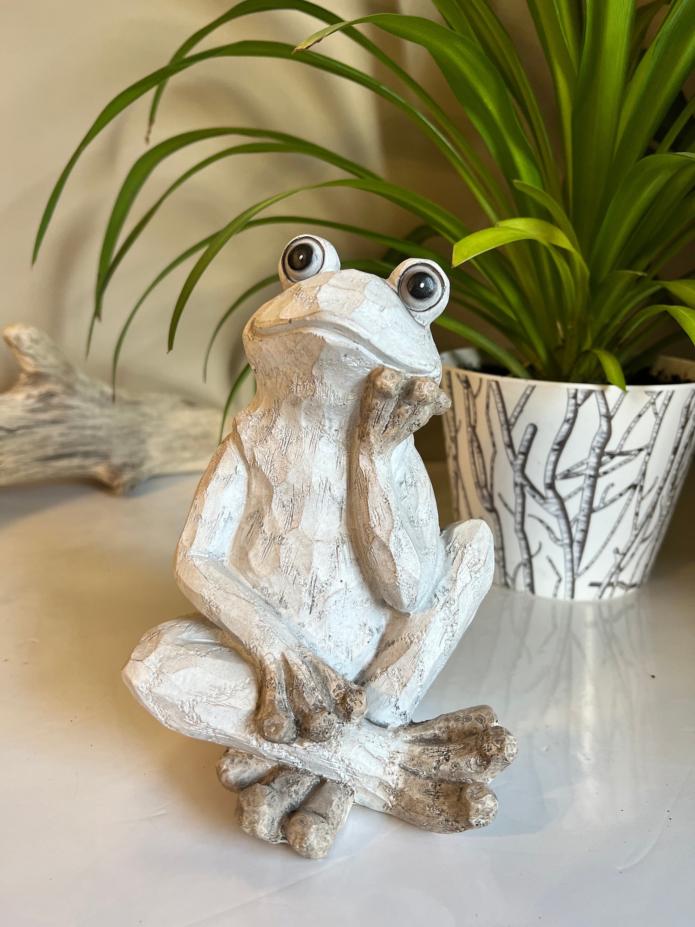 Meditating Frog 