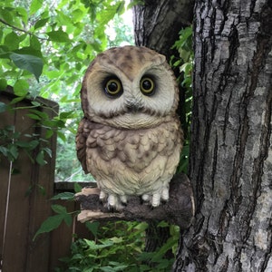 Owl Figurine Tree Hanger Garden Decoration Resin 9.5 in. H. Owl Lovers Yard Ornament Home Decor Bird Owl Enthusiasts Hooter Statue Brown