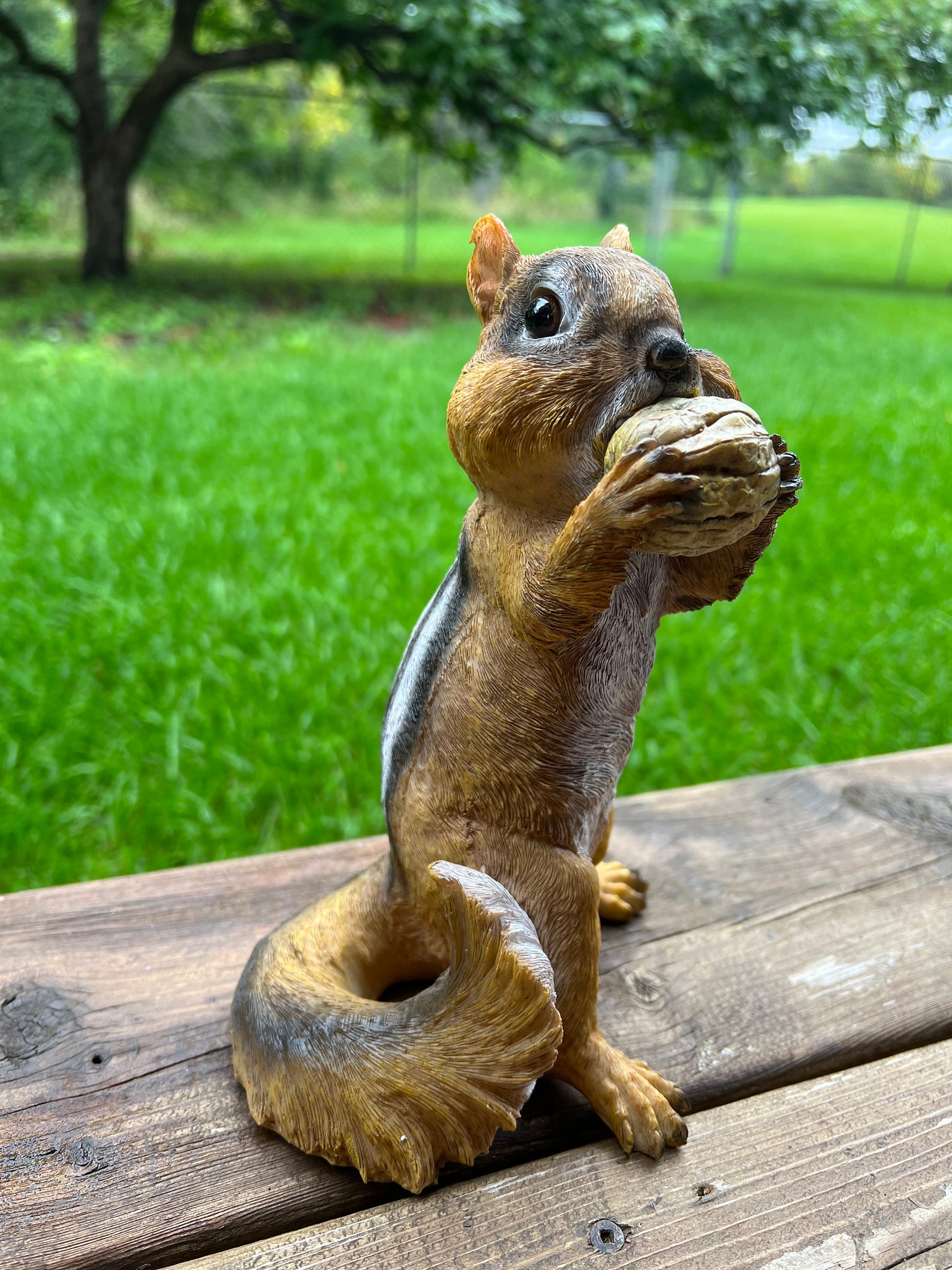 Chipmunk Standing With Nut Figurine Garden Statue Resin Yard Etsy Canada