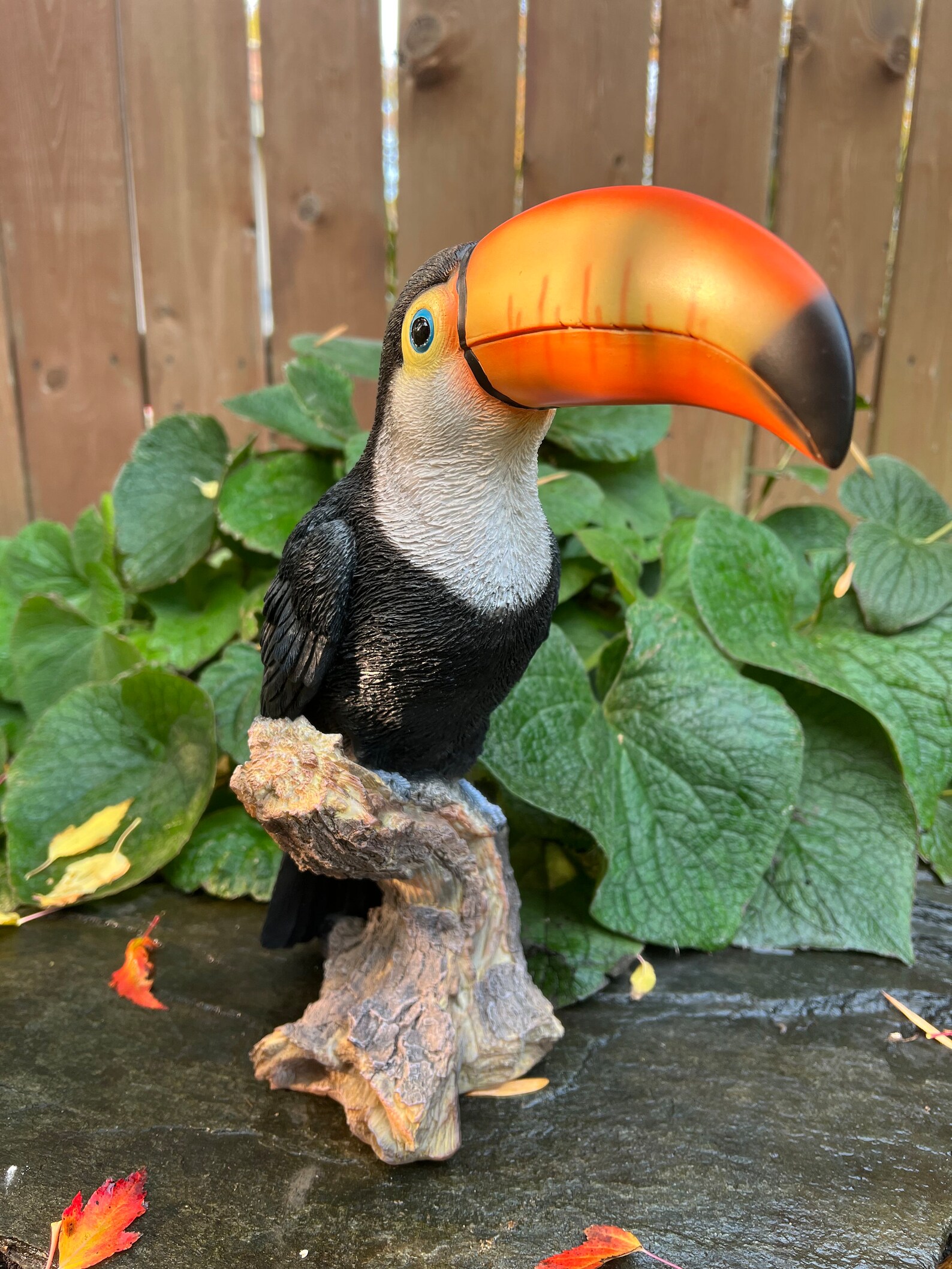 Toucan Tropical Bird Figurine Garden Figurine Decoration - Etsy