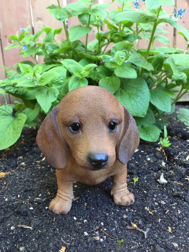 dachshund resin statue