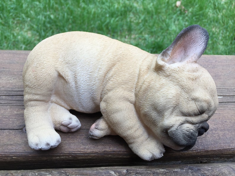 French Bulldog Puppy Sleeping Lying on Side 7 inches wide image 3