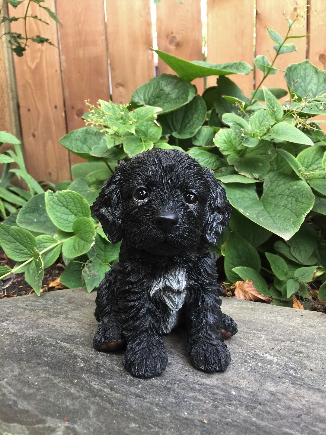 Dog cockapoo sale black