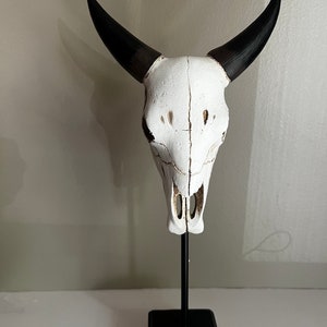 Bull Skull on Stand Resin Figurine 12.25 in. H.   Steer Skull Table Shelf Decoration  Country Design Farm Animals