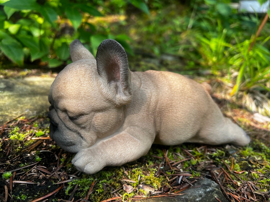 Hurley frenchie hotsell jacket