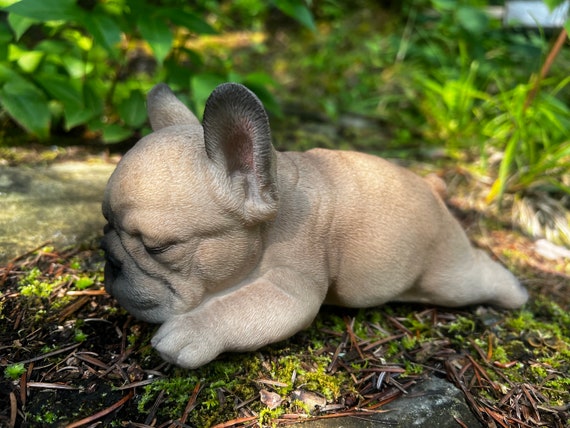 Cute french bulldog puppy sitting on a soft blanket with his