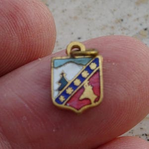 May include: A small gold-tone metal charm shaped like a shield, featuring colorful enamel details. The design includes a white mountain peak, a green pine tree, a diagonal blue stripe with four gold flower icons, and a red section with a gold animal silhouette.
