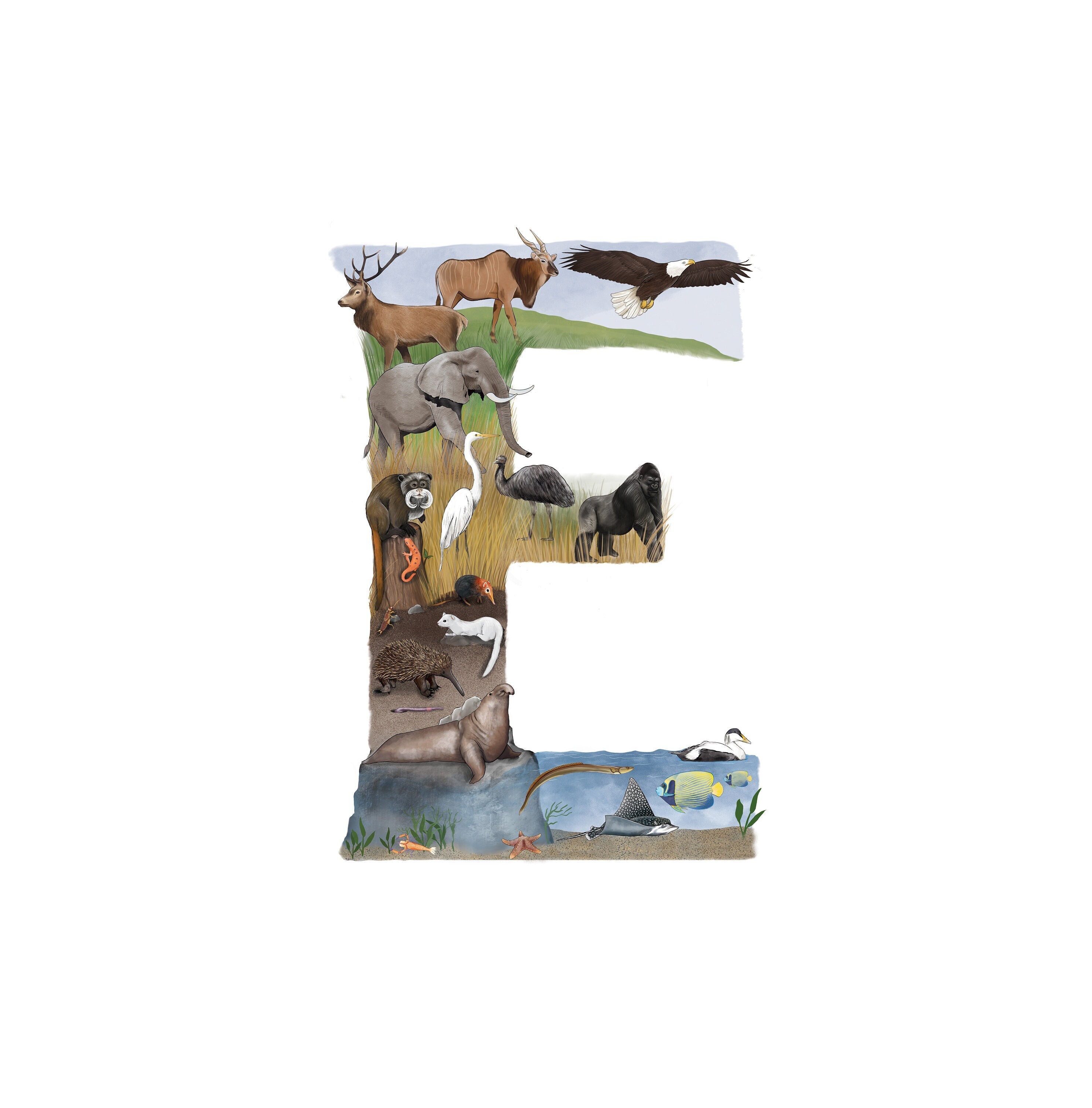 Animal Art Print Letter E Animals That Begin With E - Etsy New Zealand Animal Art Print Letter E Animals That Begin With E - Etsy New Zealand