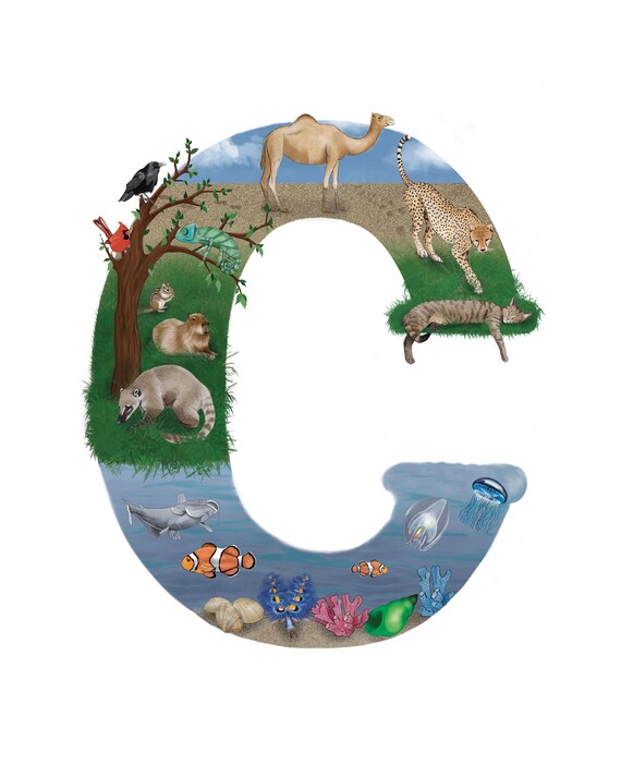 Animal Art Print Letter C Animals That Begin With C - Etsy Animal Art Print Letter C Animals That Begin With C - Etsy