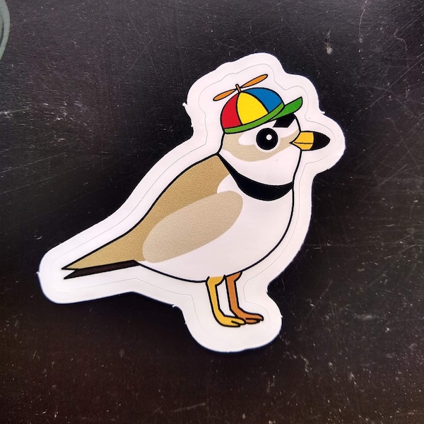 Piping Plover Sticker - in Hat!!