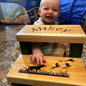 Personalized / Personalised Toddler Gift Step Stool.  Quality handmade construction.  Clever cartoon engraving.