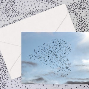 Starling Heart - Cartes de voeux vierges pour toute occasion